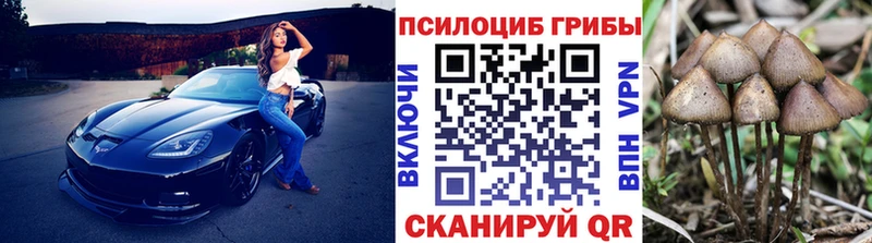 купить наркотики цена Закаменск Галлюциногенные грибы GOLDEN TEACHER
