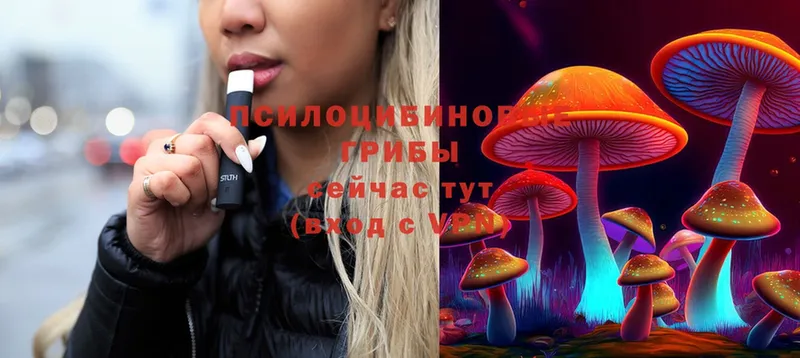 Галлюциногенные грибы Psilocybe Закаменск